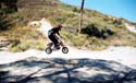 dan-air