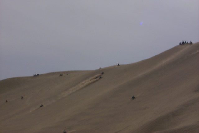 P0003784