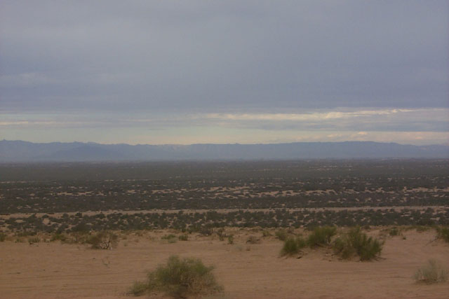 P0003794