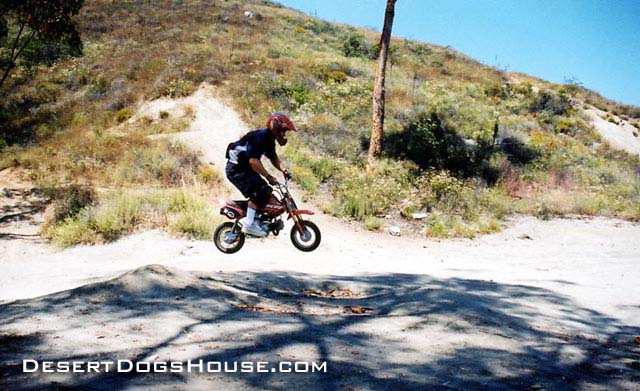 dan-air