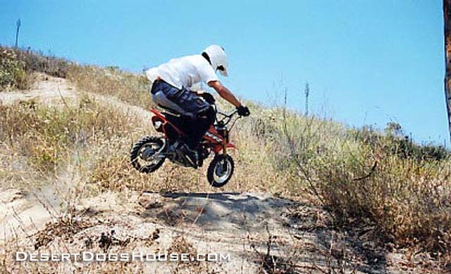 hill-steppin-up